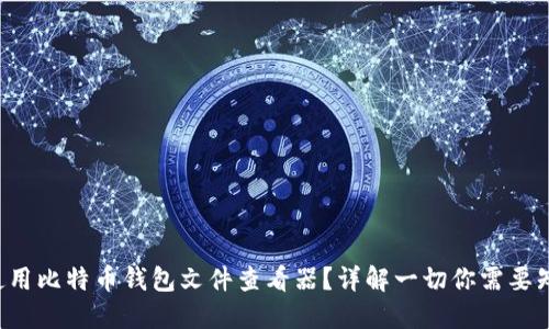 如何使用比特币钱包文件查看器？详解一切你需要知道的！